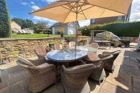 garden from table.jpg