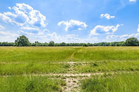 The Thicket - National Trust Land