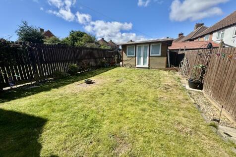 IMG_7781