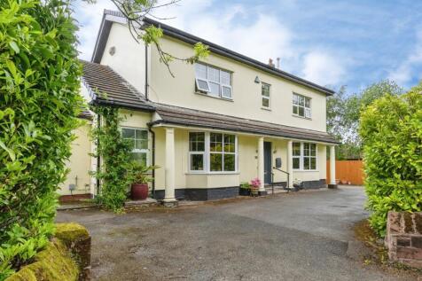 pbox-IMG.jpg