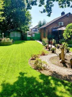 Garden (summer) pic 6.jpg