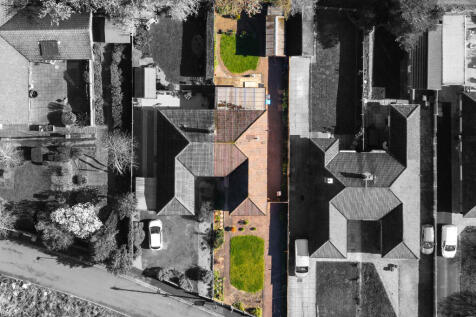 Birdseye