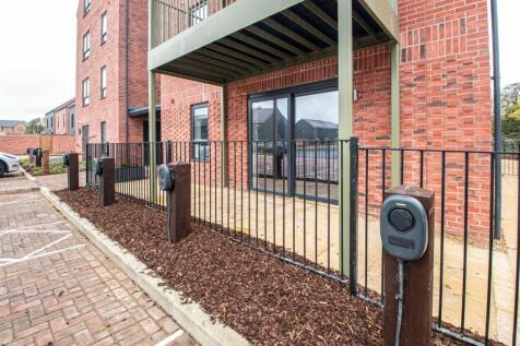 willow and fronts _17.jpg