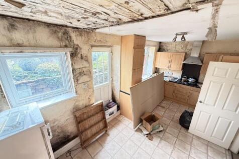 IMG 1629 T202510041743.jpg