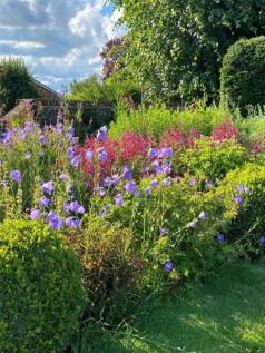 Spring Garden Image