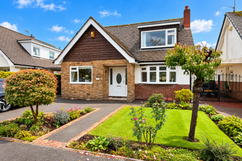 Sunny Suburban House and Garden.png