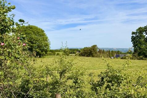 View From Garden