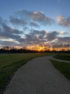 IMG_7362.JPG