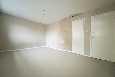 IMG 7537 T202512240923.jpg