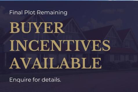 Buyer Incentives.jpg