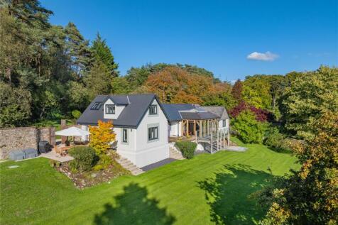 Rear Aspect