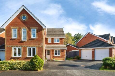 pbox-IMG.jpg