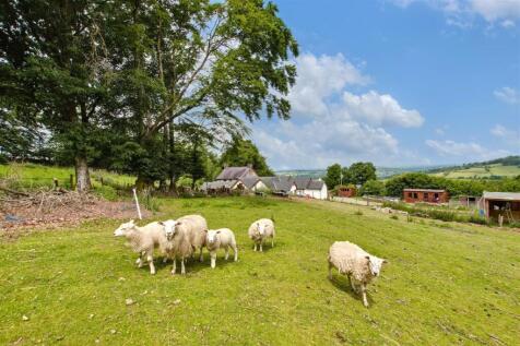 View from one of the top fields