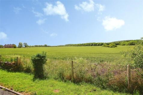 Picture No. 14