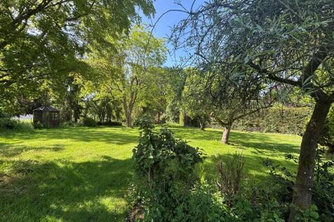 Garden 4.jpg
