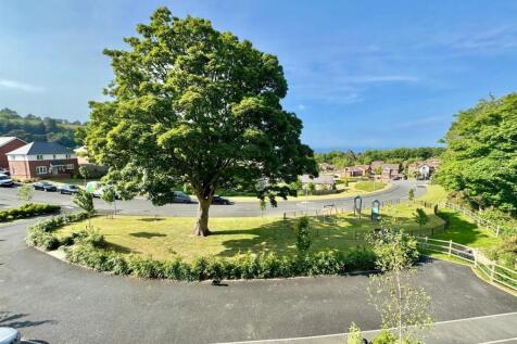 PHOTO-2025-05-21-07-30-25 (1).jpg