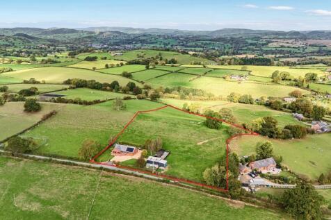 Red Line Boundary.jpg