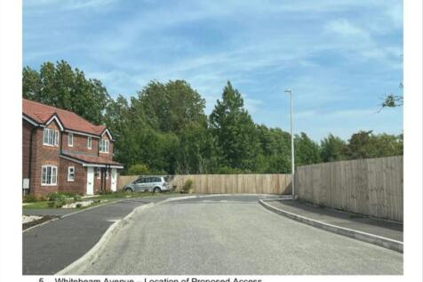 Whitebeam Avenue Pro