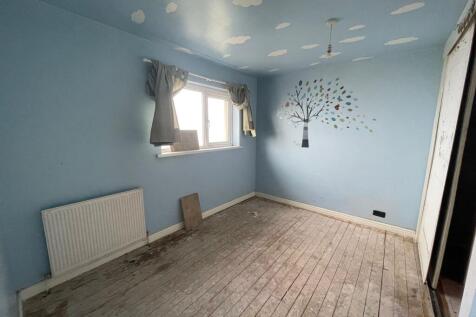 IMG 2440 T202512031417.jpeg