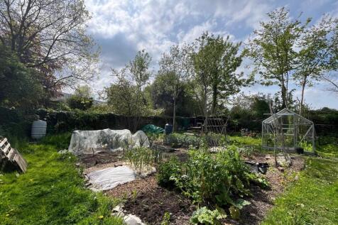 Allotment.jpg
