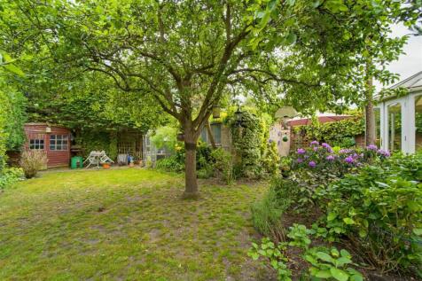 28 Hounslow Road garden2.jpg
