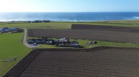 Aerial (3)