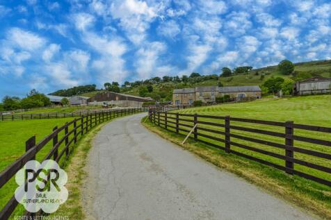 Meandering Farm Driveway