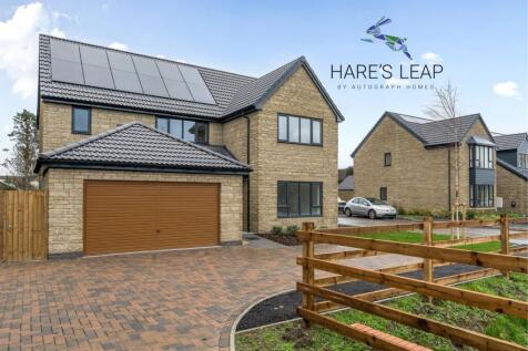Hare's Leap