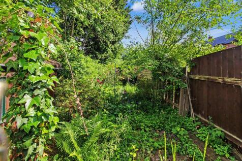 rear garden.jpeg