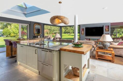 Kitchen / Living Area