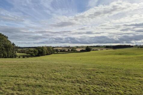 Grassland 2.jpg