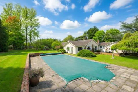 Garden & Pool
