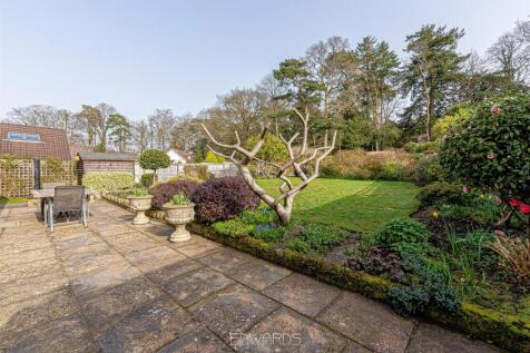 untitled-157-HDR.jpg