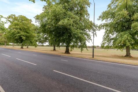 Picture 20