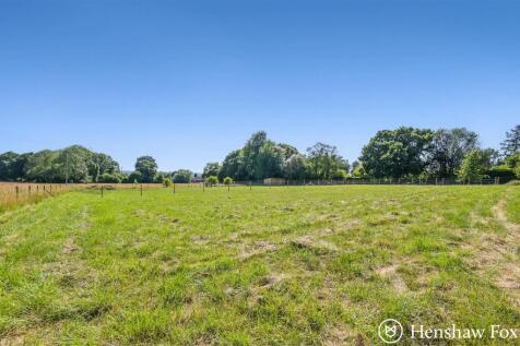 sketch_Ph17_6059639 - Copy.jpg