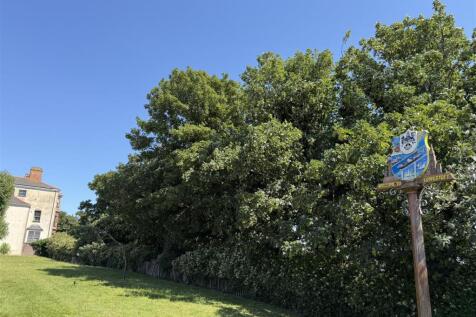 GARDEN AREA