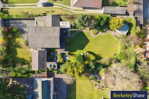 Plot view