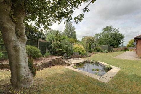 Back Garden