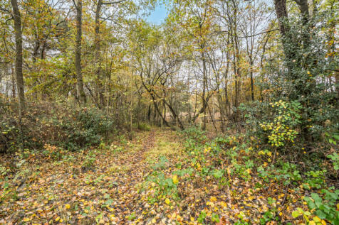 1380161-1-6911b85...