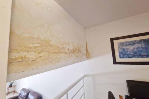 Paint damage