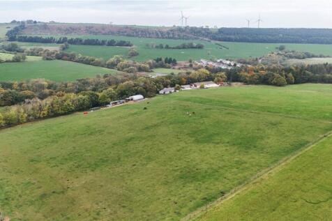 Picture No. 21