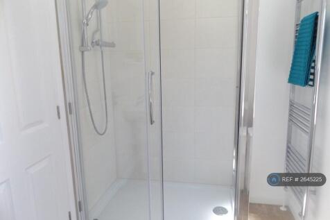 Large Walk-In Power Shower