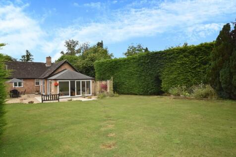Back Garden