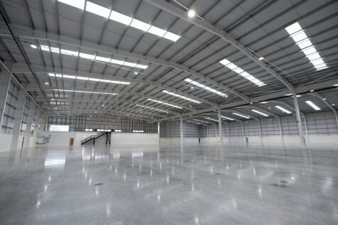 TTTEL7darylscottwalkerjpg