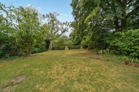 South Facing Gardens