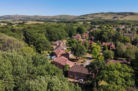 Silver Birches Drone-7.jpg