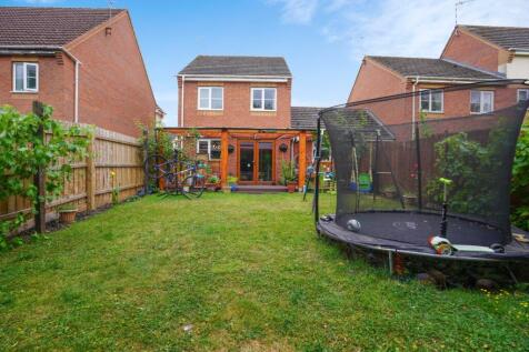 Rear Aspect