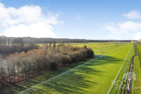Trackside