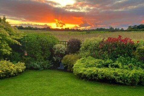Evening rear garden