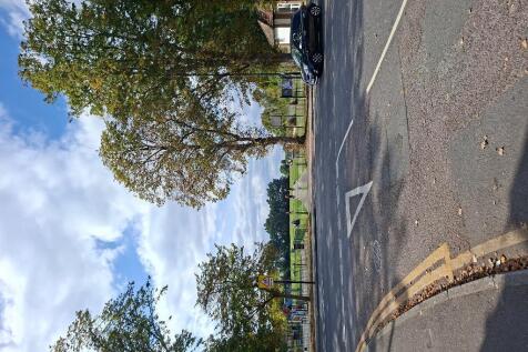 The Park